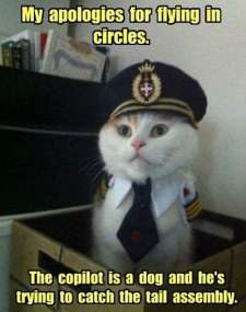 Captain Kitten &ndash; Flying in circles