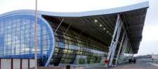 DGCA directs Raipur airport authorities to control bird activity
