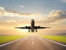 Airport authorities step in to keep animals off flight path