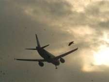 Purchases made on international flights to &amp; from India can be paid for in Rupees
